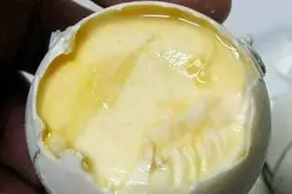 Hình ảnh Trứng vữa 