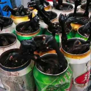 Hình ảnh Gà ác tần thuốc bắc ngải cứu 1 Con