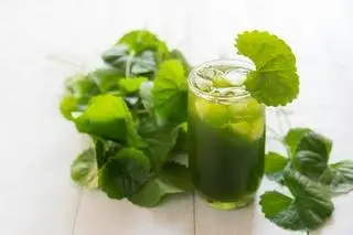 Hình ảnh rau má