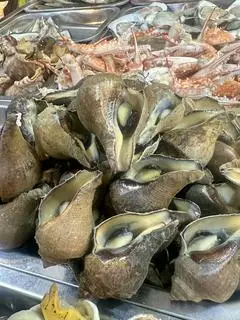 Hình ảnh Ốc Búa nướng muối ớt