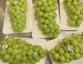 Hình ảnh Nho Sữa