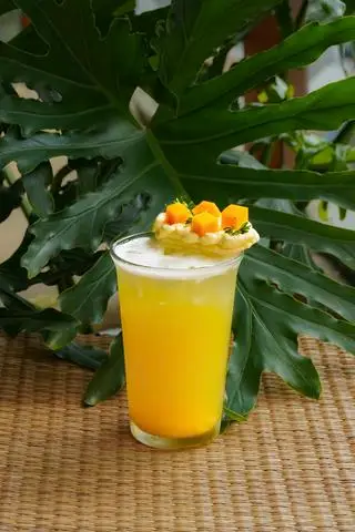Hình ảnh Xoài (TQ 65k)