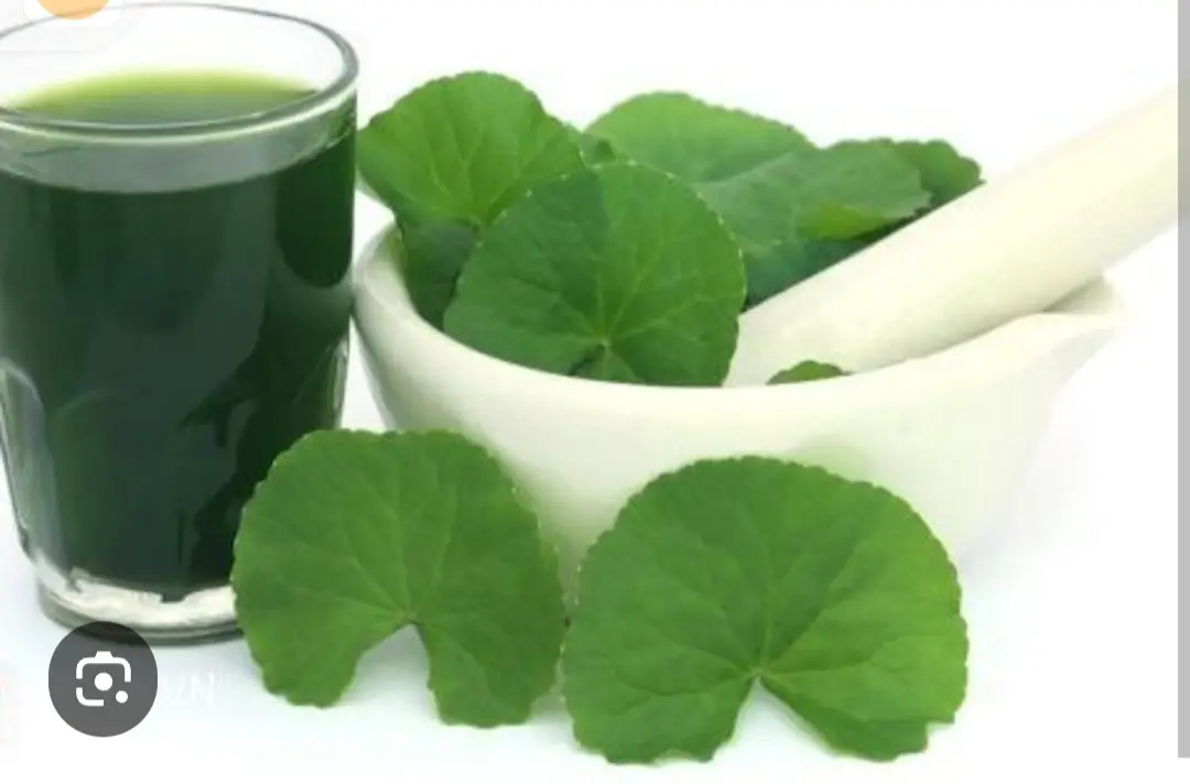 Hình ảnh Rau má đậu xanh, sữa 