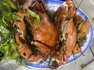 Hình ảnh miến xào cua 2 con 450 gram