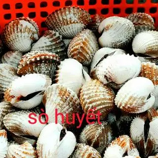 Hình ảnh Sò huyết xào tỏi