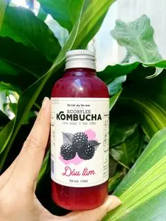 Hình ảnh Kombucha - Vị dâu tằm - 150ml