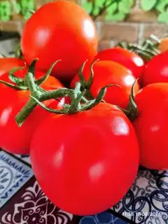 Hình ảnh SINH TỐ CÀ CHUA