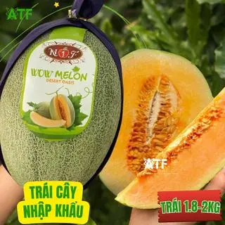 Hình ảnh Dưa lưới Đàu loan Nhập Khẩu - Trái 1.8-2kg