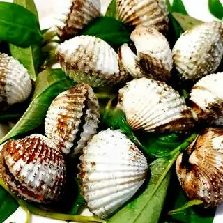 Hình ảnh Sò huyết la cốt