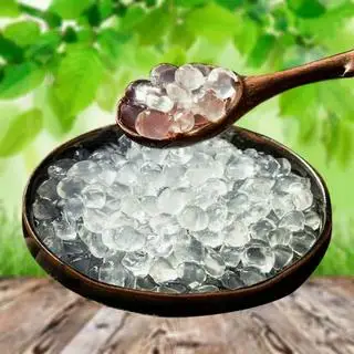 Hình ảnh Trân Châu 3Q