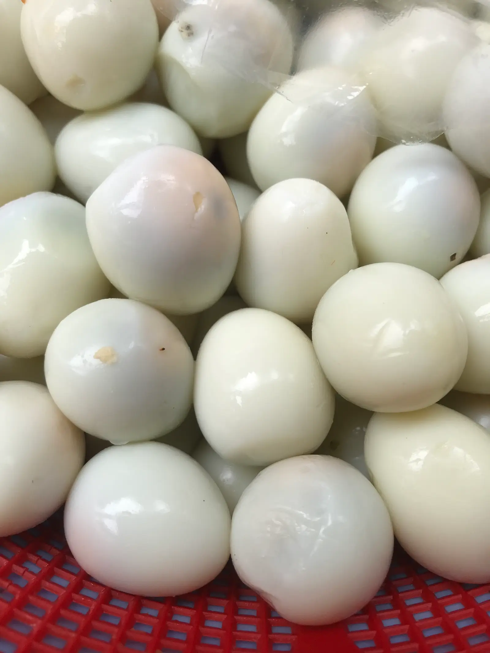 Hình ảnh 3 Trứng cút