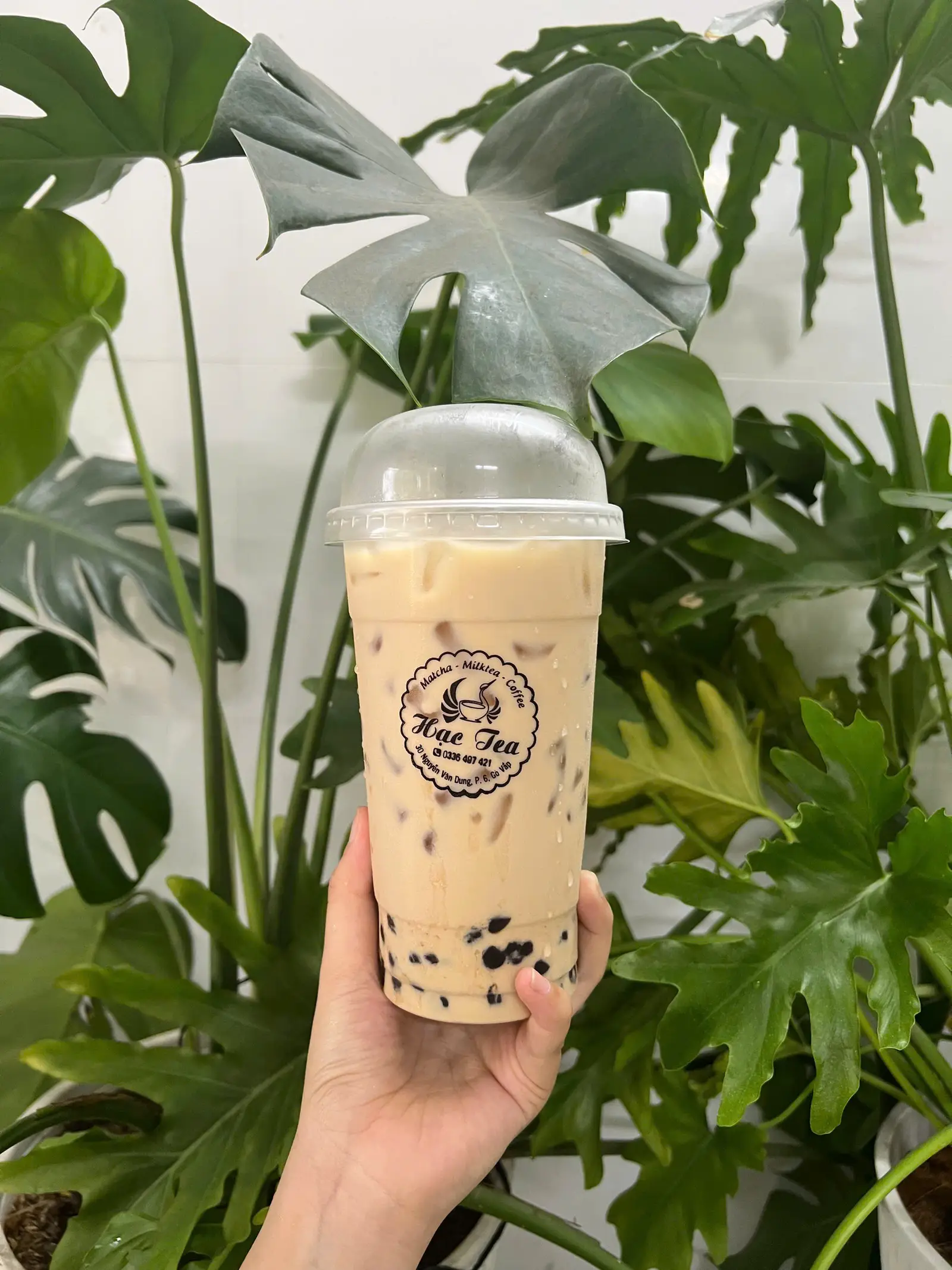 Hình ảnh Trà sữa Hạc