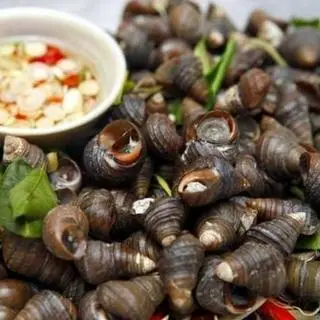 Hình ảnh ốc vặn hấp sả