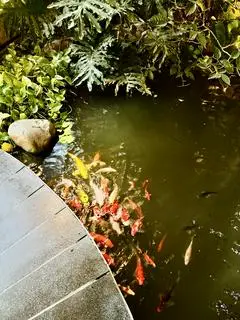 Hình ảnh Bánh Hỏi