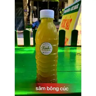 Hình ảnh sâm bông cúc
