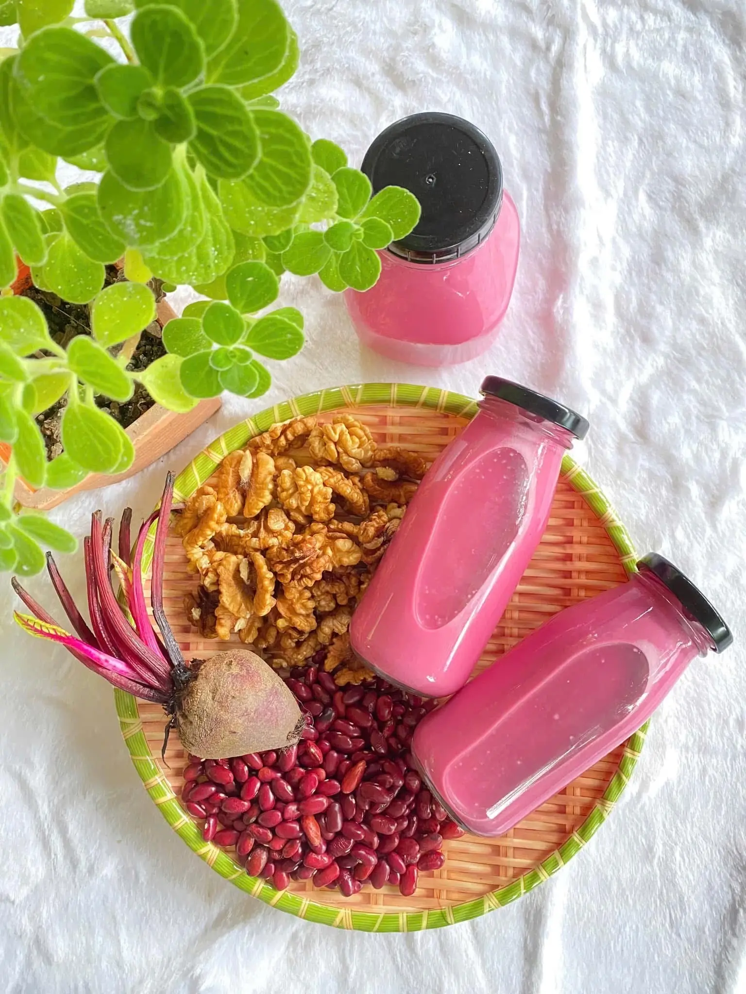 Hình ảnh Dền Khoẻ Bền 
