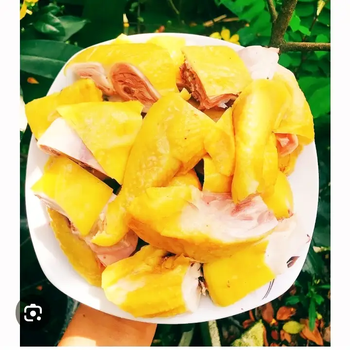 Hình ảnh  Combo Gà ủ MUỐI +pesi 