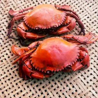 Hình ảnh Cua biển 1con size nhỏ 