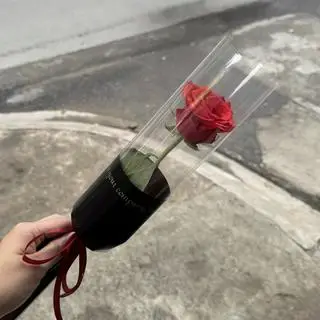 Hình ảnh Hoa Hồng một bông 