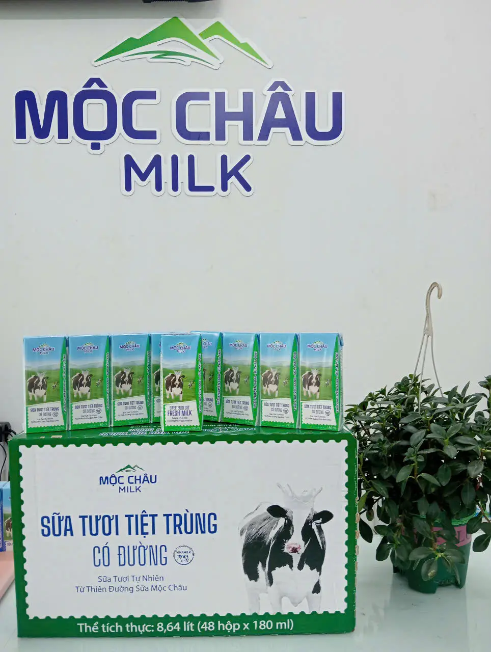 Hình ảnh Sữa tươi tiệt trùng MCM 180ml - lốc
