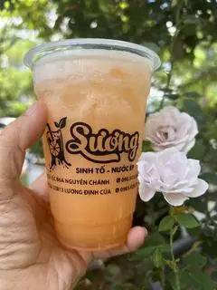 Hình ảnh Dưa Lưới Vàng 