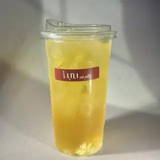 Hình ảnh TRÀ HOA NHÀI