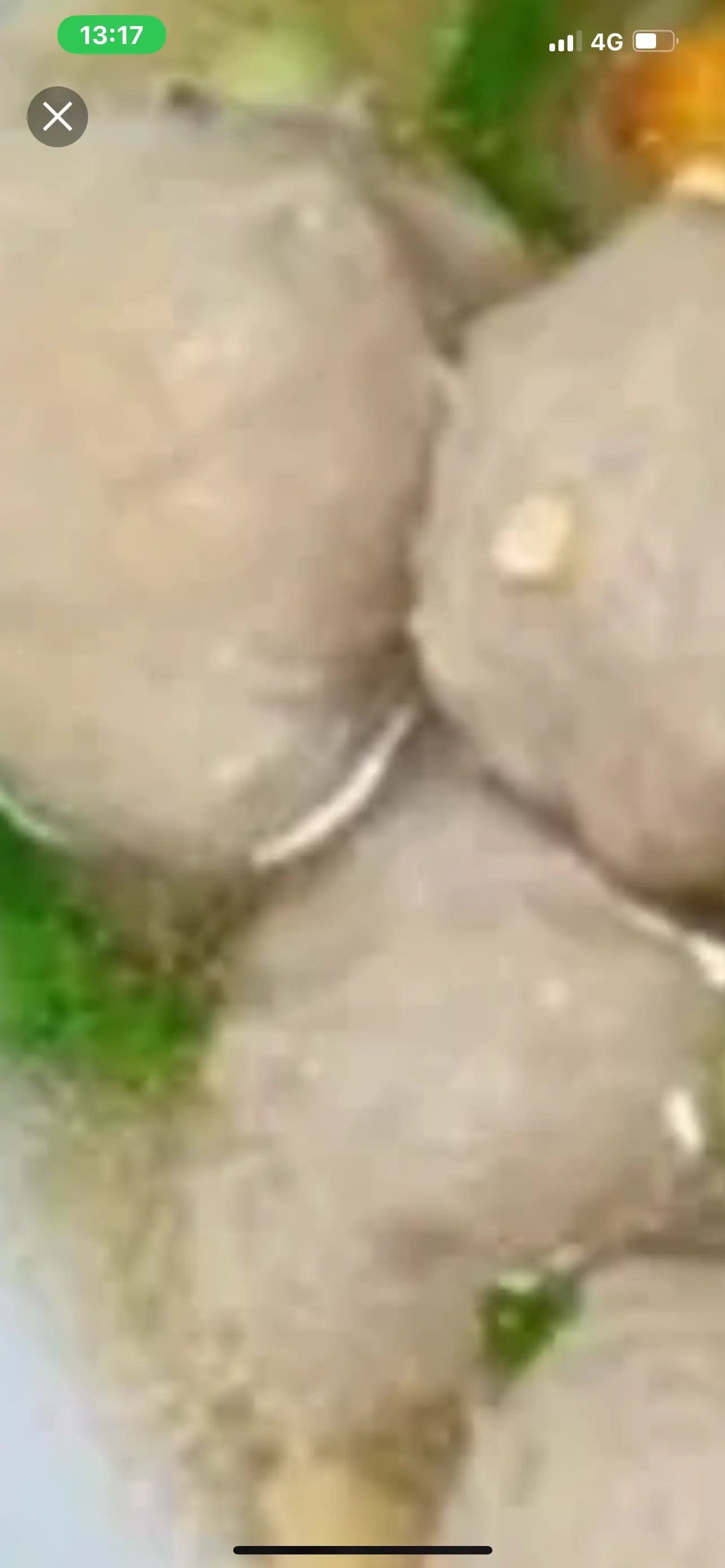 Hình ảnh bánh canh bò viên không 
