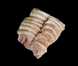 Hình ảnh 250G Thịt Giò Heo Xông Khói - Smoked Pork - 燻蹄