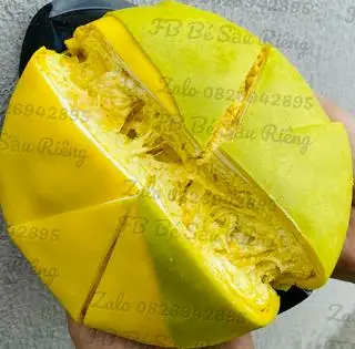 Hình ảnh Bánh Crep Sầu Riêng Ngàn lớp vani mix dứa -16cm