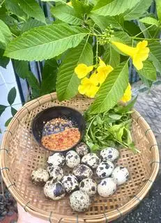 Hình ảnh Trứng cút lộn luộc 