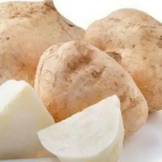 Hình ảnh củ đậu 