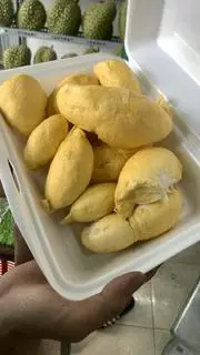 Hình ảnh Sầu Riêng Cơm Ri6 Miền Tây