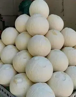 Hình ảnh Dừa xiêm trọc- size 430- 460gr