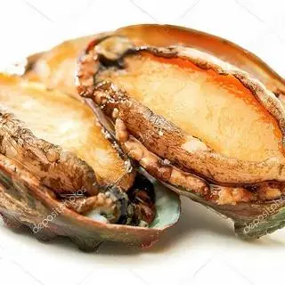 Hình ảnh Bào ngư