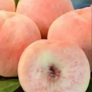 Hình ảnh 1kg đào lông giòn ngọt