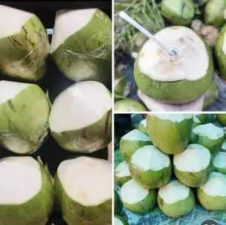 Hình ảnh Quả dừa xiêm