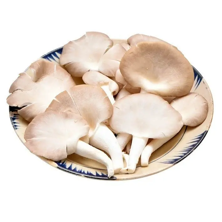 Hình ảnh Nấm bào ngư thêm