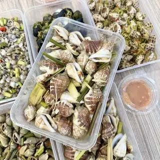 Hình ảnh Ốc nhảy cồ