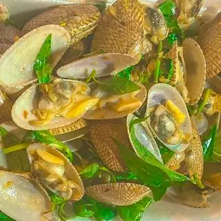 Hình ảnh Sò Lụa