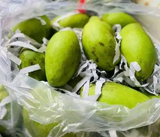 Hình ảnh Xoài Keo 1kg tặng Muối Tây Ninh