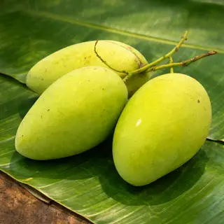 Hình ảnh Xoài Lắc Tứ Quý