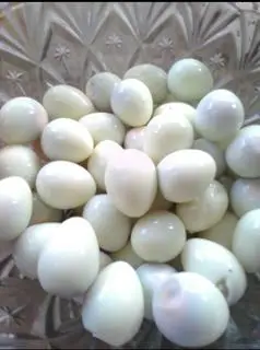 Hình ảnh Trứng cút