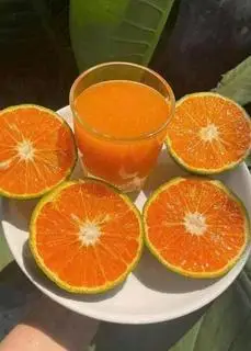 Hình ảnh cam ép nguyên chất