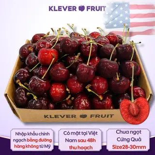 Hình ảnh Cherry Jumbo Mỹ - Khay 2.67kg - USA Cherry Size 9.5 Row (28-30mm) - Klever Fruit (Size L)