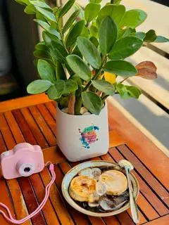 Hình ảnh Bánh Flan 