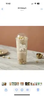 Hình ảnh Sen nhài sữa - A2