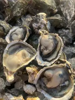Hình ảnh Hàu sữa tươi nguyên con
