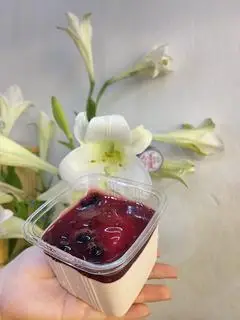 Hình ảnh Mouse Việt Quất 