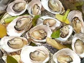 Hình ảnh hào sữa hấp 