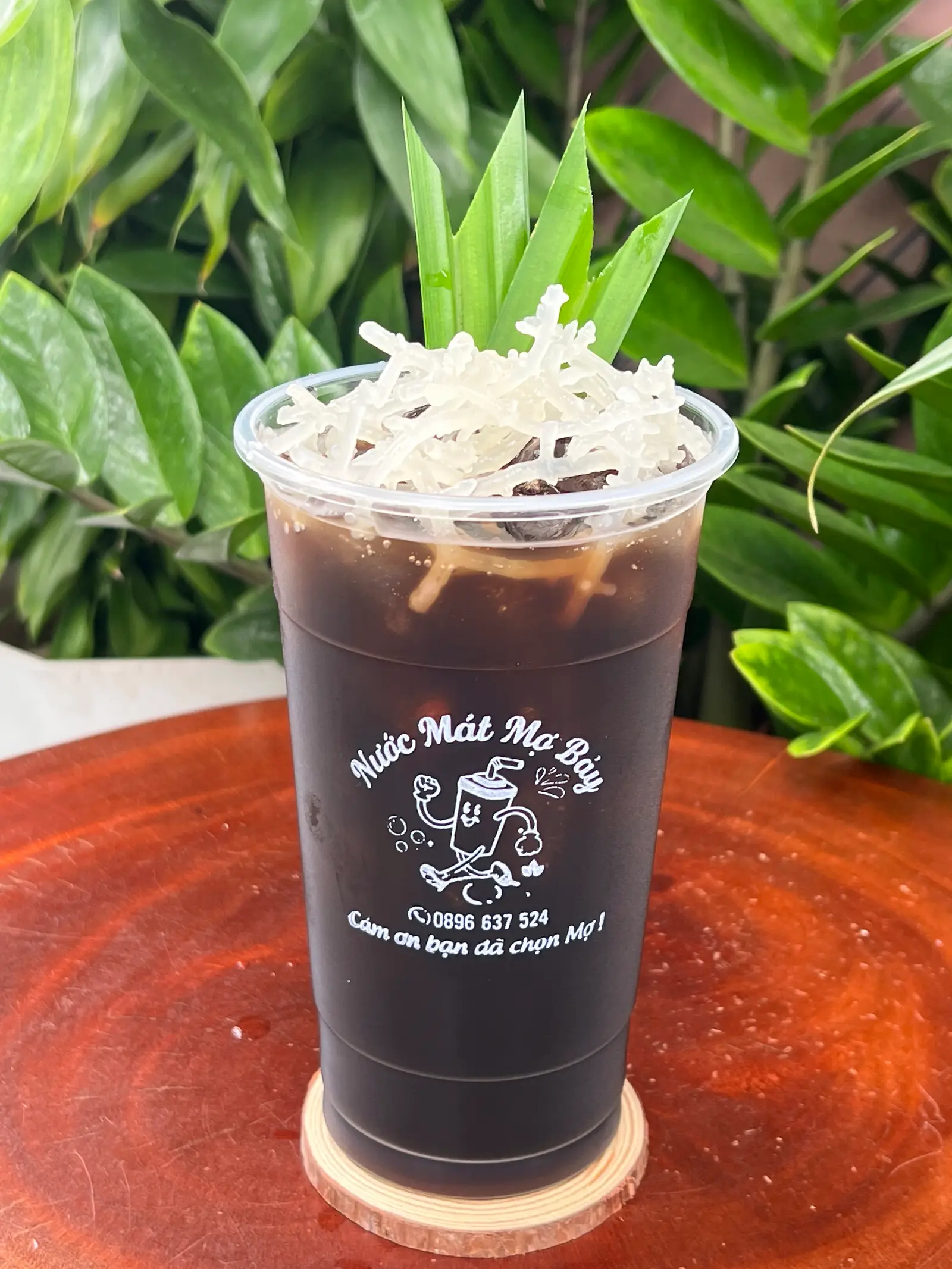 Hình ảnh Sâm Rong Sụn 